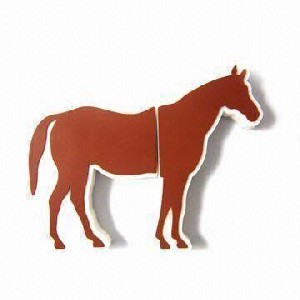 USB stick paard